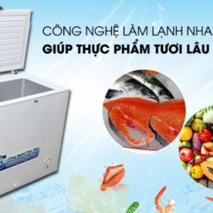 Tủ đông 1 ngăn đông Alaska BD-400C