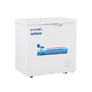 Tủ đông Alaska BD-300