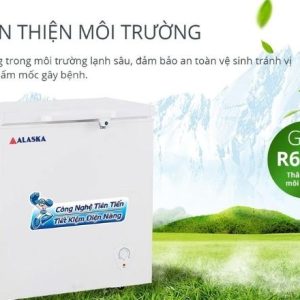 Tủ đông Alaska BD-300