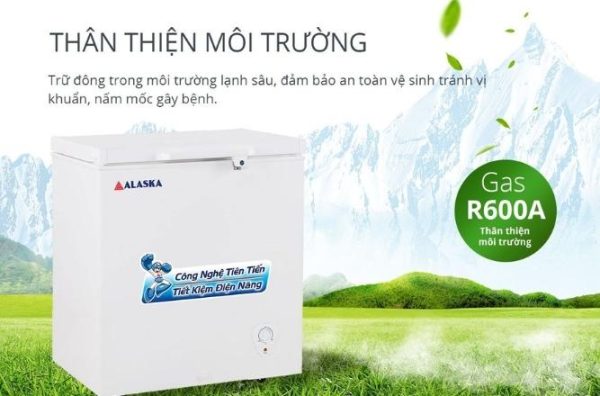 Tủ đông Alaska BD-300
