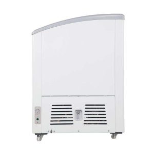 Tủ đông Alaska KC-210C kính cong