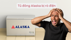 Tủ đông hãng Alaska rò điện