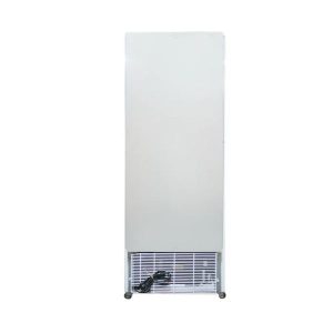 Tủ đông đứng Alaska IFG-350