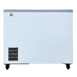 Tủ đông Alaska KC-210CI kính cong