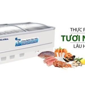 Tủ đông kính lùa Alaska KN-400