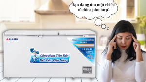 Bạn đang tìm một chiếc tủ đông phù hợp?