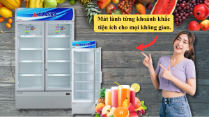 Tủ Mát Đồng Hành Cùng Cuộc Sống Tiện Ích