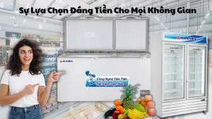 Địa Chỉ Mua Tủ Đông Alaska Uy Tín Tại Hà Nội