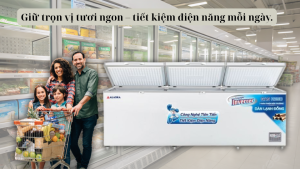 Vì Sao Nhiều Người Chọn Tủ Đông Alaska HB-1500CI?