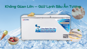 Review Thực Tế Tủ Đông Alaska HB-950C
