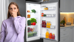 Vì sao tủ lạnh lại có mùi khó chịu